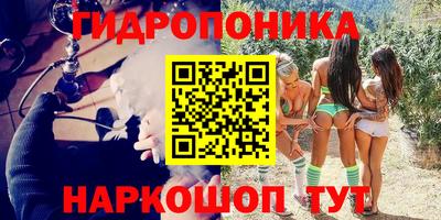 apvp Кунгур