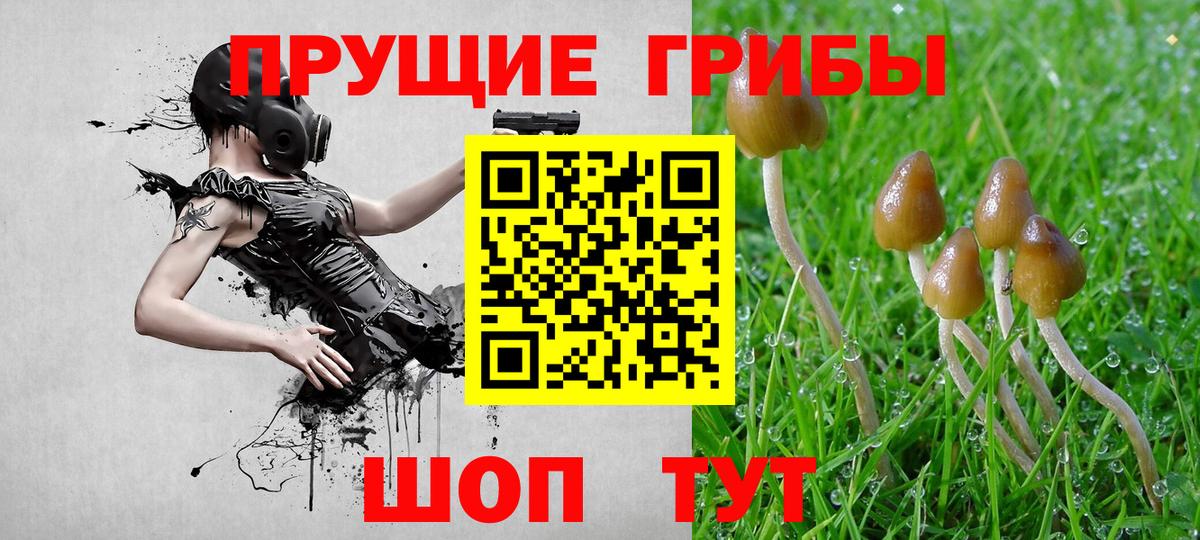 Керчь  Галлюциногенные грибы MAGIC MUSHROOMS  Вход с VPN 
