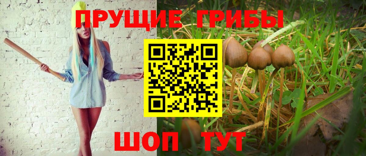Галлюциногенные грибы Cubensis Керчь